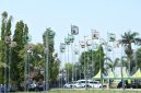 Ratusan ayam bekisar dari berbagai daerah mengikuti Lomba Seni Suara Ayam Bekisar Bupati Cup 2026 di halaman Kantor Bupati Sumenep, Minggu (25/10/2026).